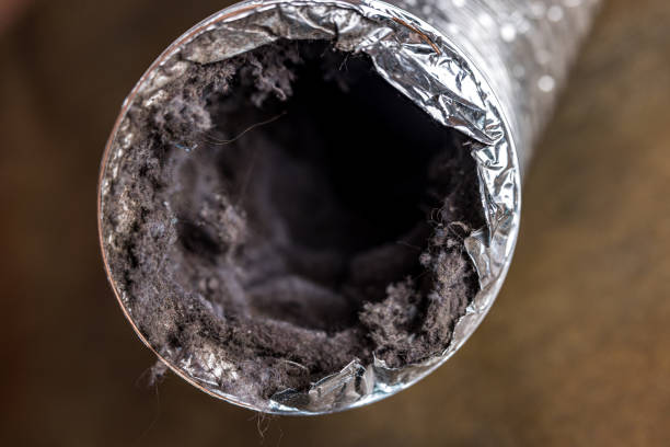 Best HVAC Duct Inspection Services  in Denton, TX